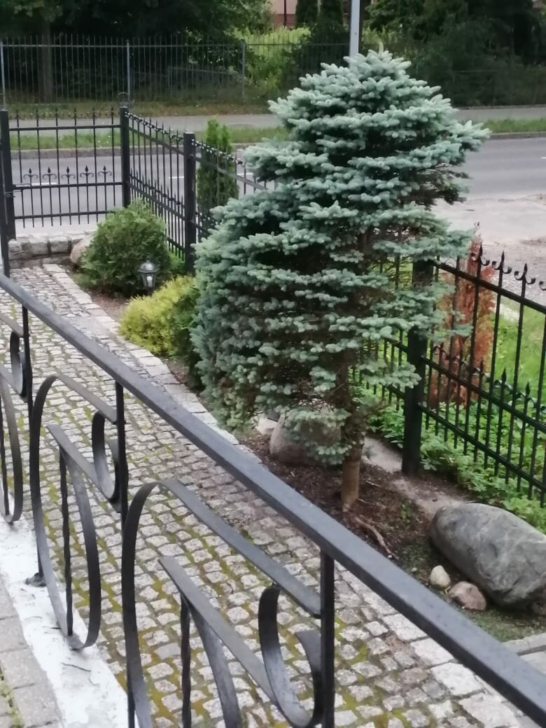 Гостиница Котбус Калининград-151